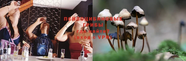 мяу мяу мука Ростов