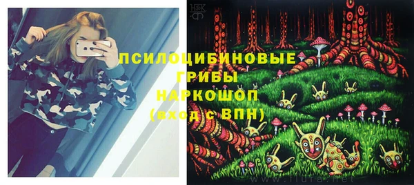 мяу мяу мука Ростов
