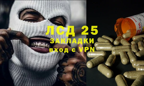 сатива Рославль