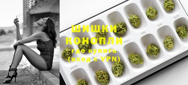 сатива Рославль